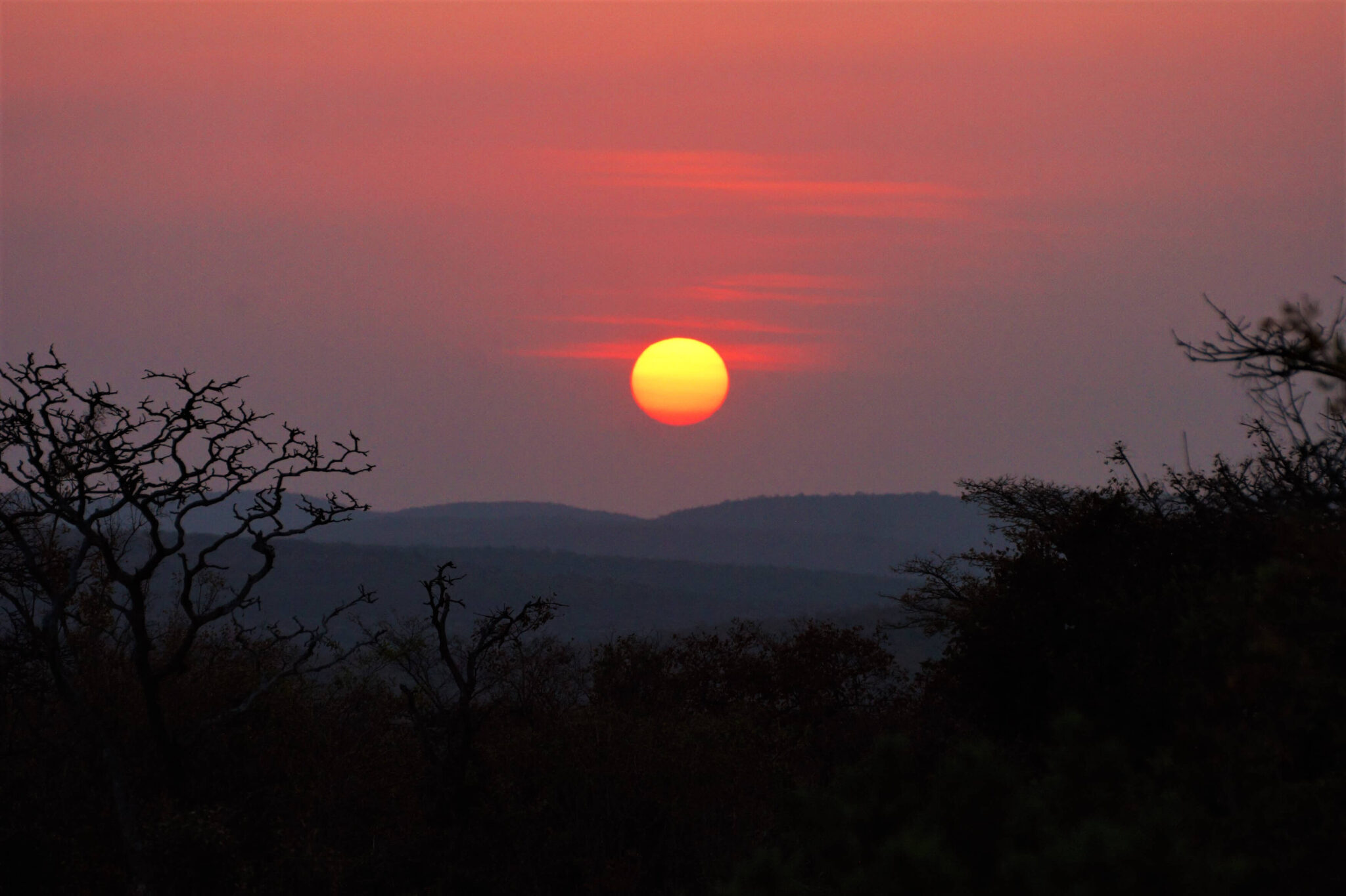 An African Moon Makweti